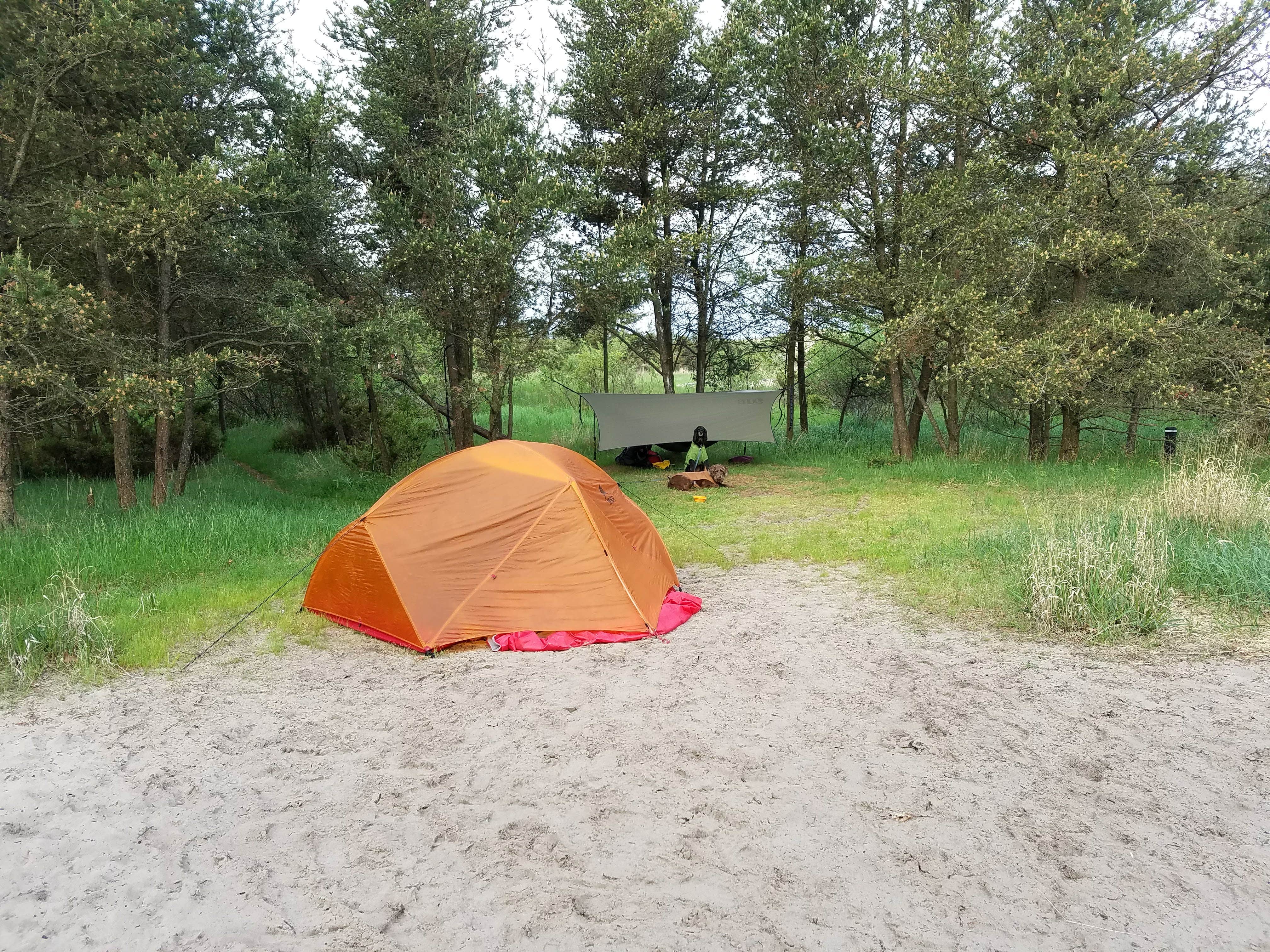 Sarah K.'s photo of tent camping at Jackpine Hike-In Campground — Ludington State Park near Brethren, MI