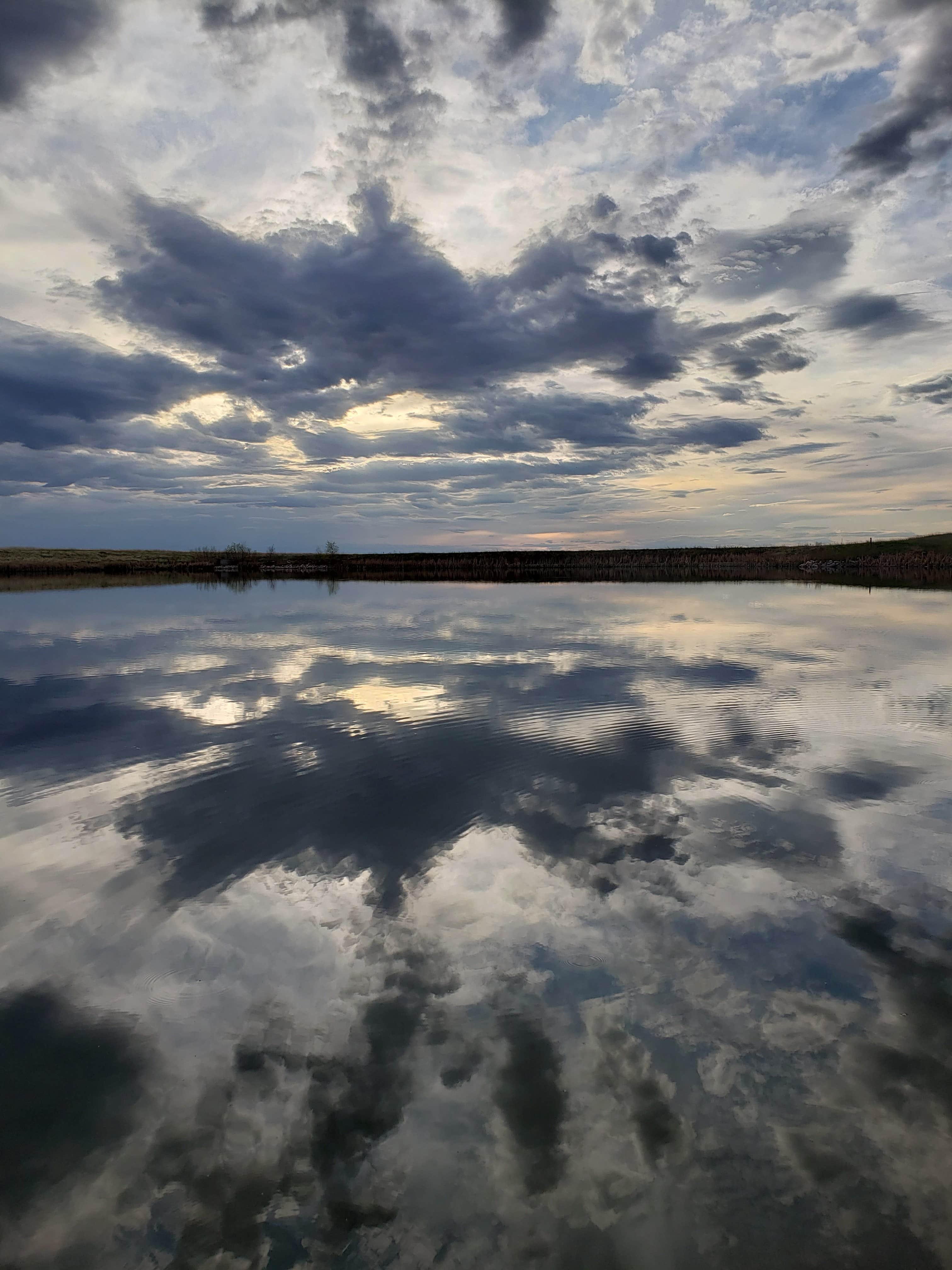 Molly's photo of a dispersed camping area at Richland reservoir dispersed camping near Fort Pierre, SD
