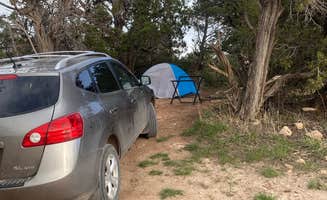 Jennifer's photo of tent camping at Canyons of the Ancients, Sand Canyon (Road 4725) near Mesa Verde National Park