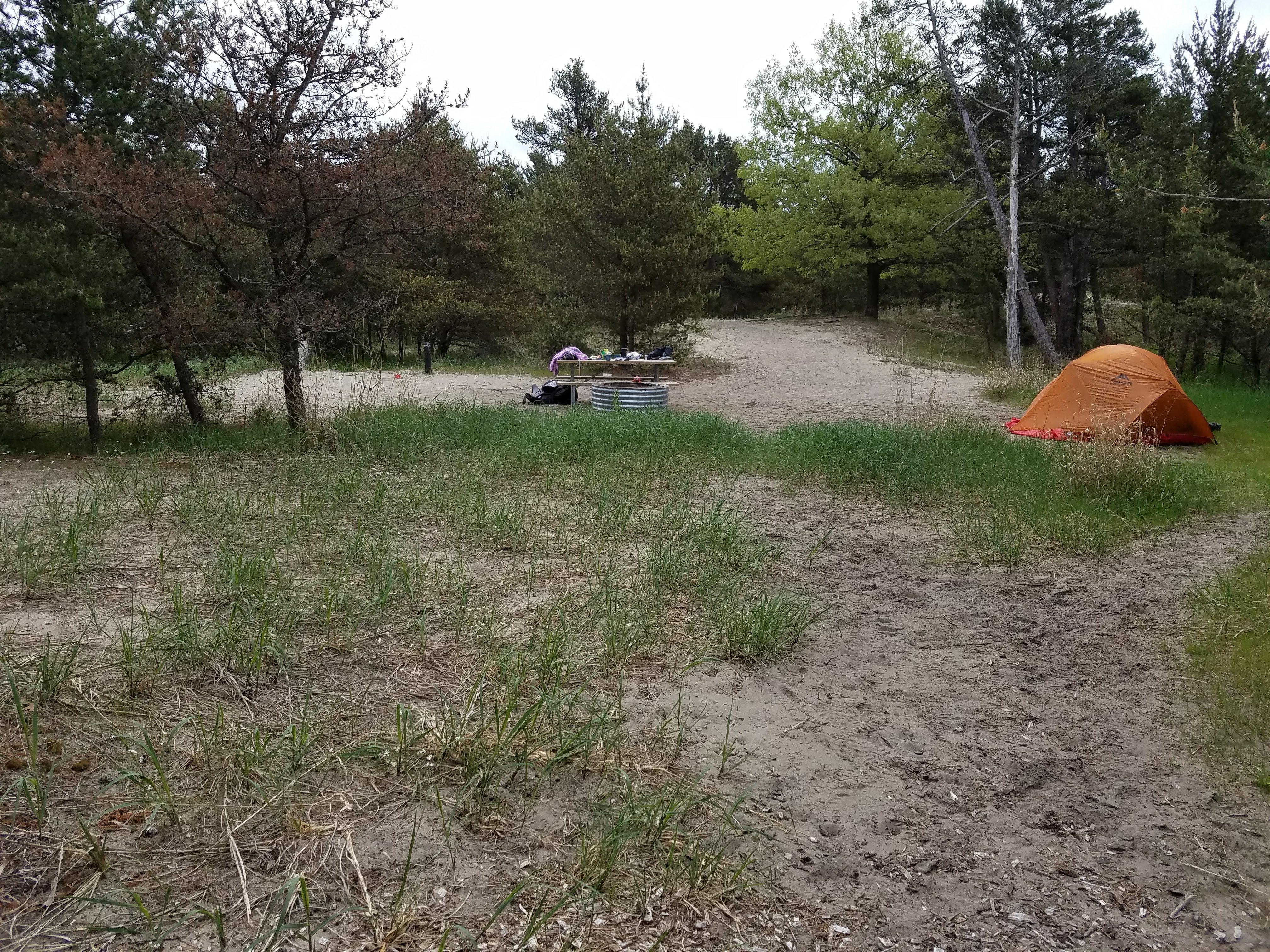 Camper submitted image from Jackpine Hike-In Campground — Ludington State Park - 5