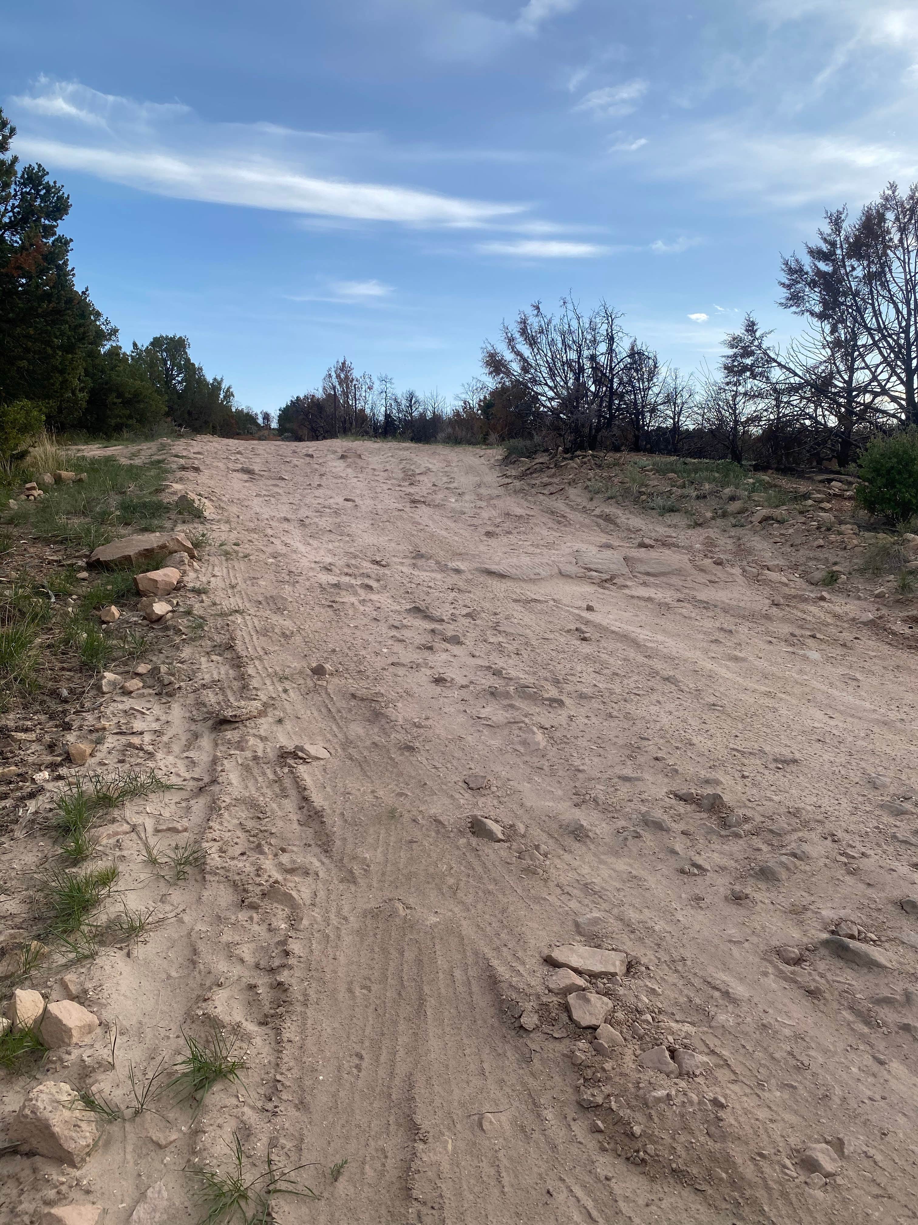 Camper submitted image from Canyons of the Ancients, Sand Canyon (Road 4725) - 3