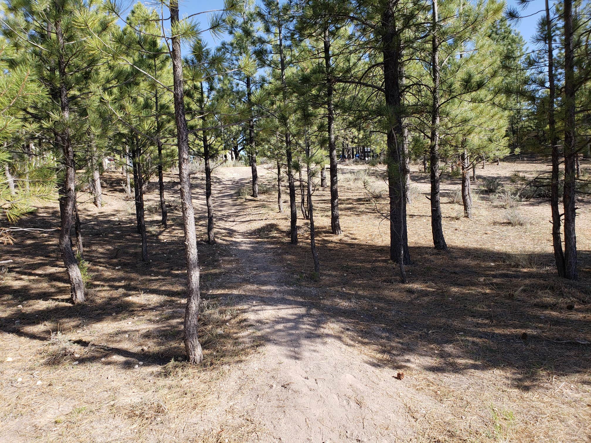 Camper-submitted photo at Rubys Inn RV Park and Campground in Utah