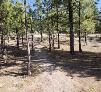 THE 10+ BEST Campgrounds near Bryce Canyon National Park