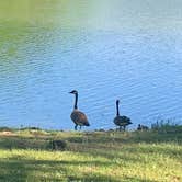 Review photo of Land Between The Lakes National Recreation Area Piney Campground by Michael W., May 14, 2021