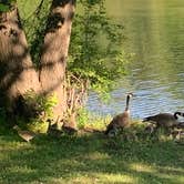 Review photo of Land Between The Lakes National Recreation Area Piney Campground by Michael W., May 14, 2021