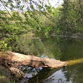 Review photo of Private Wooded Camping on Pond by frog , May 14, 2021