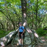 Review photo of Hickory Ridge Campground — Grayson Highlands State Park by Anne F., May 14, 2021