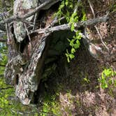 Review photo of Hanging Rock State Park Campground by bart , May 14, 2021