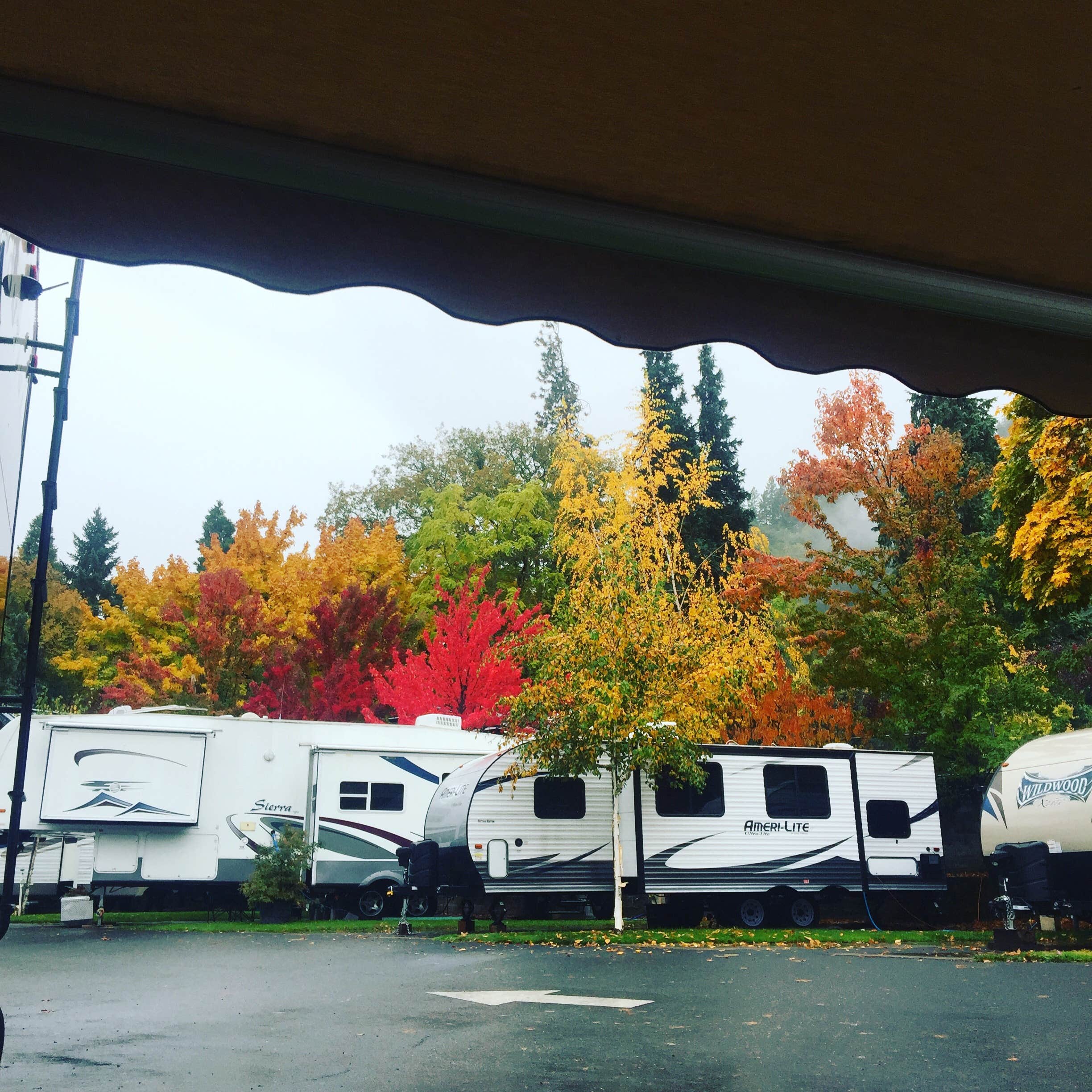 Lanie G.'s photo of rv camping at Bridgeview RV Park near Trail, OR