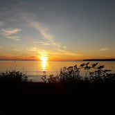 Review photo of Birch Bay State Park Campground by Mindy P., May 14, 2021