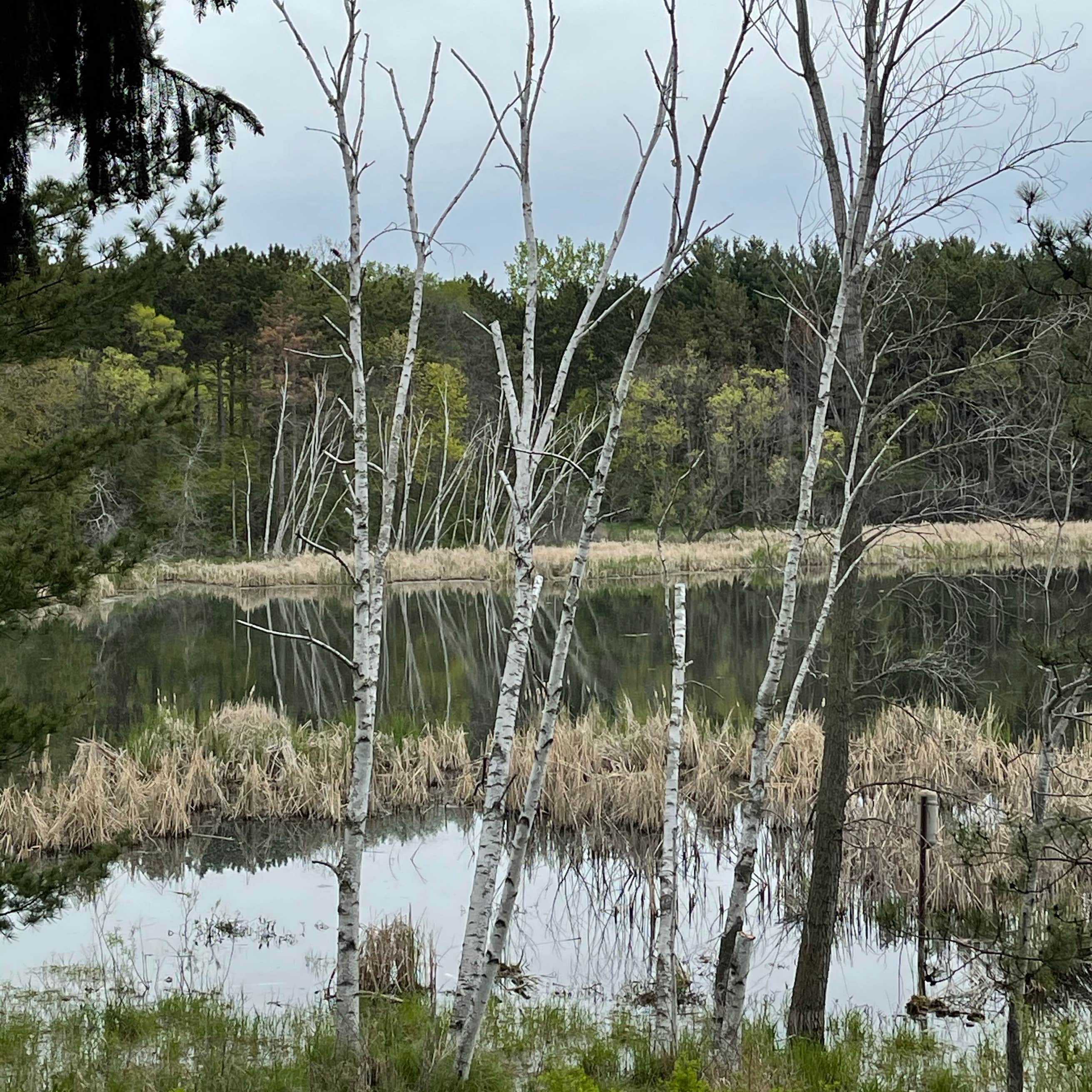 Lake Elmo County Park Reserve Camping | Lake Elmo, MN