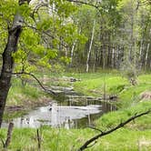 Review photo of Lake Elmo County Park Reserve by Jaime N., May 14, 2021