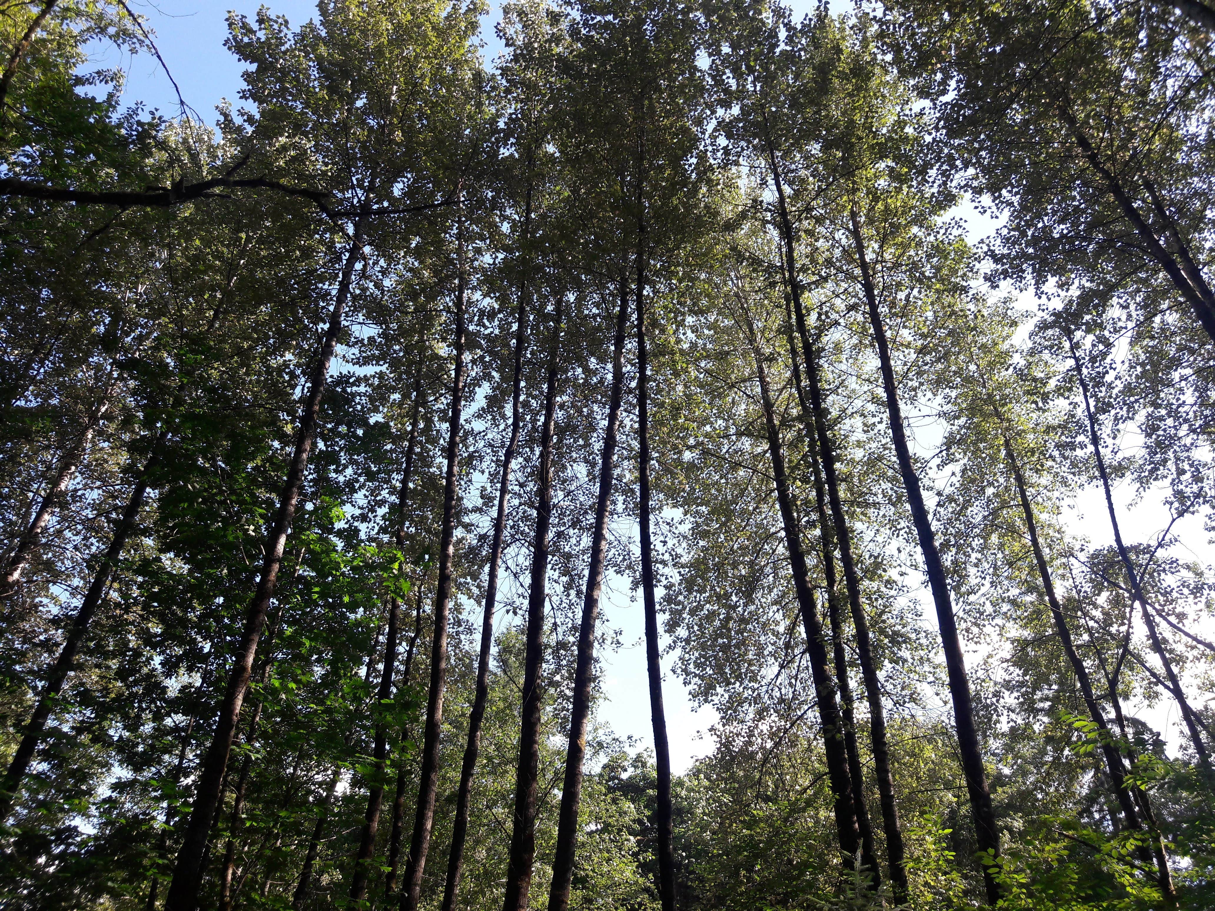 Camper-submitted photo at Squire Creek Park & Campground near Everett, WA