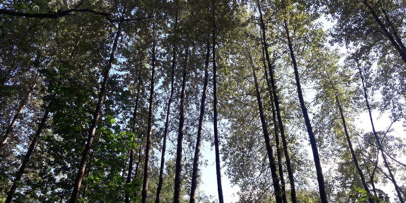 Camper submitted image from Squire Creek Park & Campground