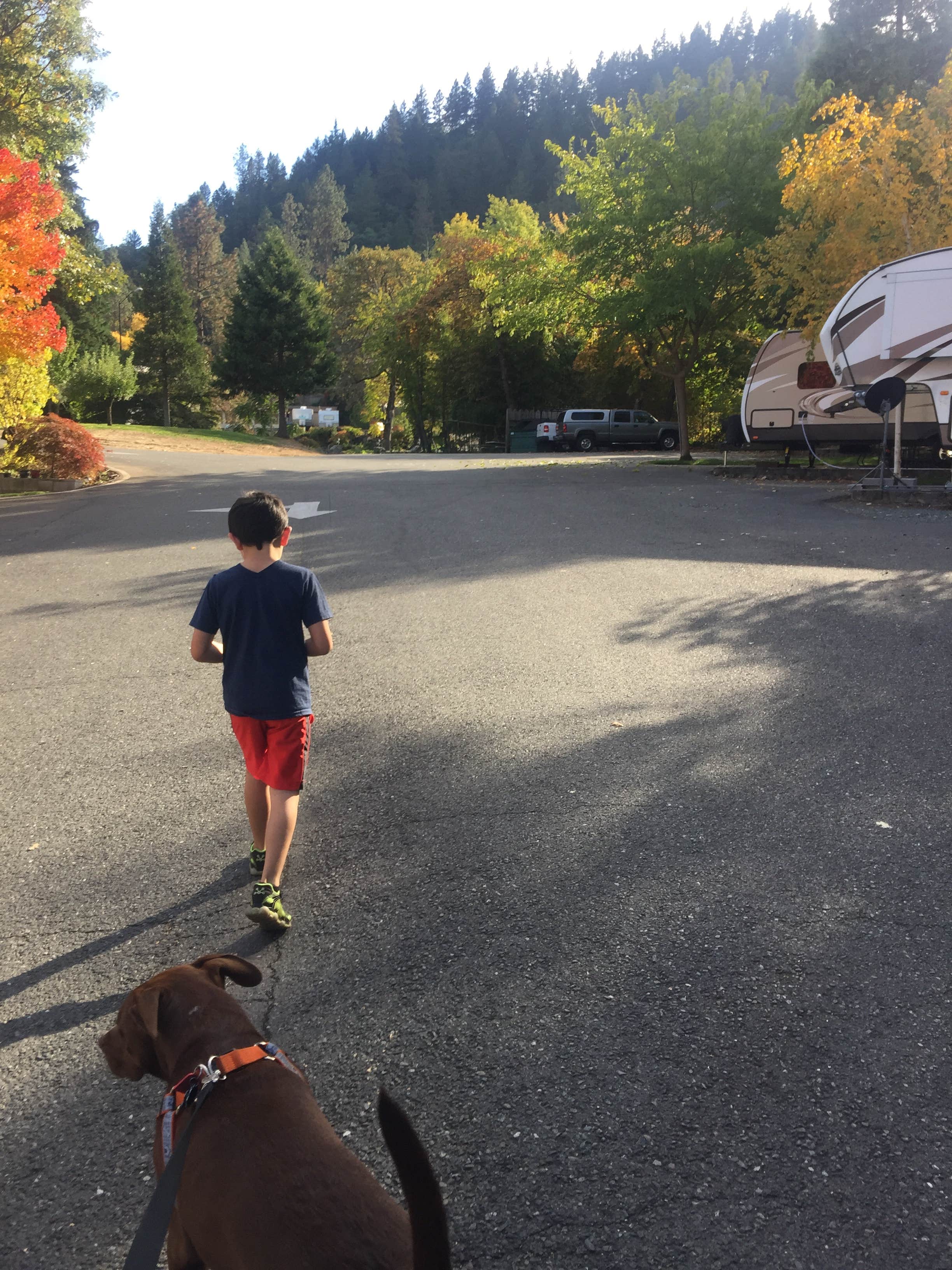 Camper-submitted photo at Bridgeview RV Park near Trail, OR