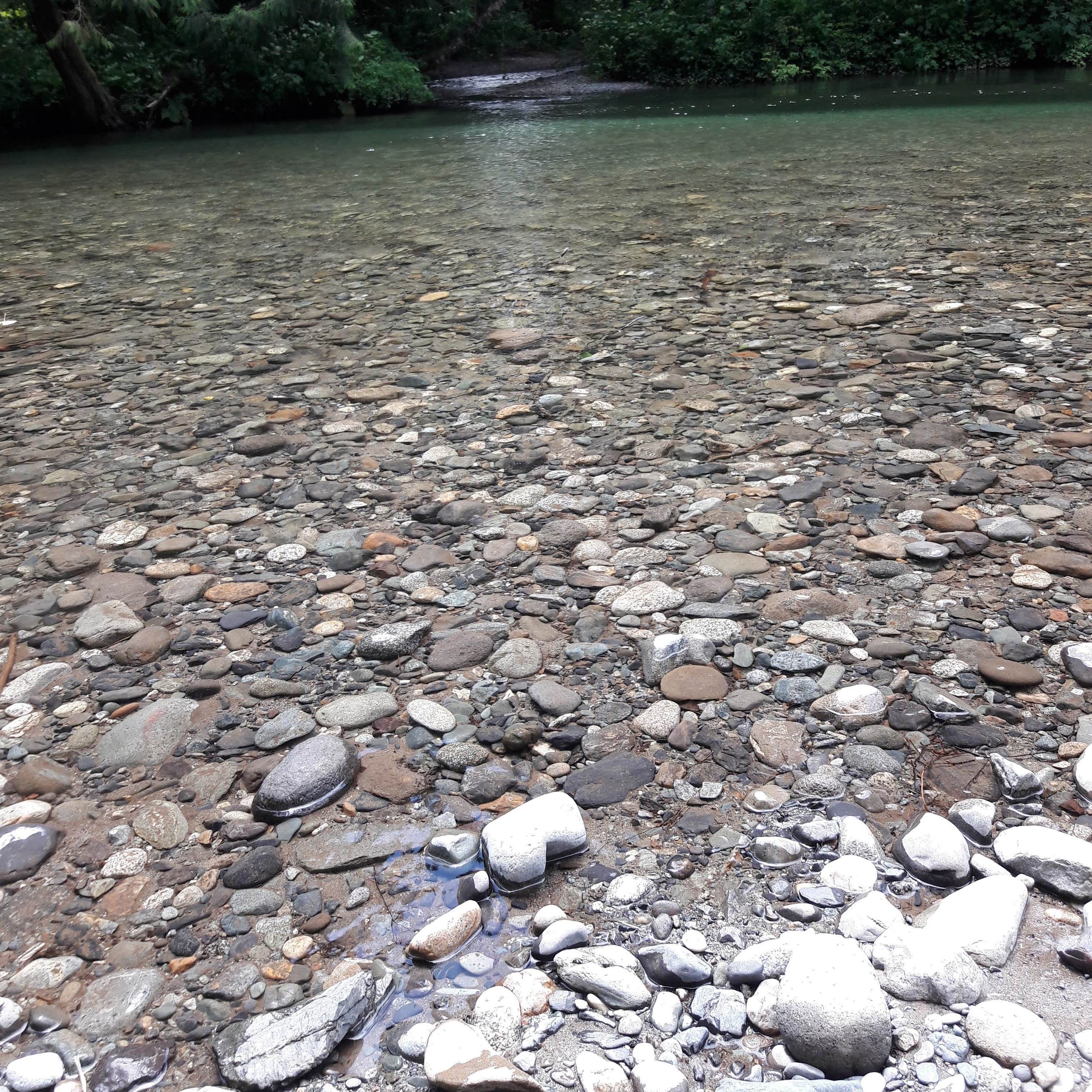 Squire Creek Park & Campground Camping The Dyrt