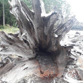 Review photo of Deception Pass State Park Campground by Mindy P., May 14, 2021