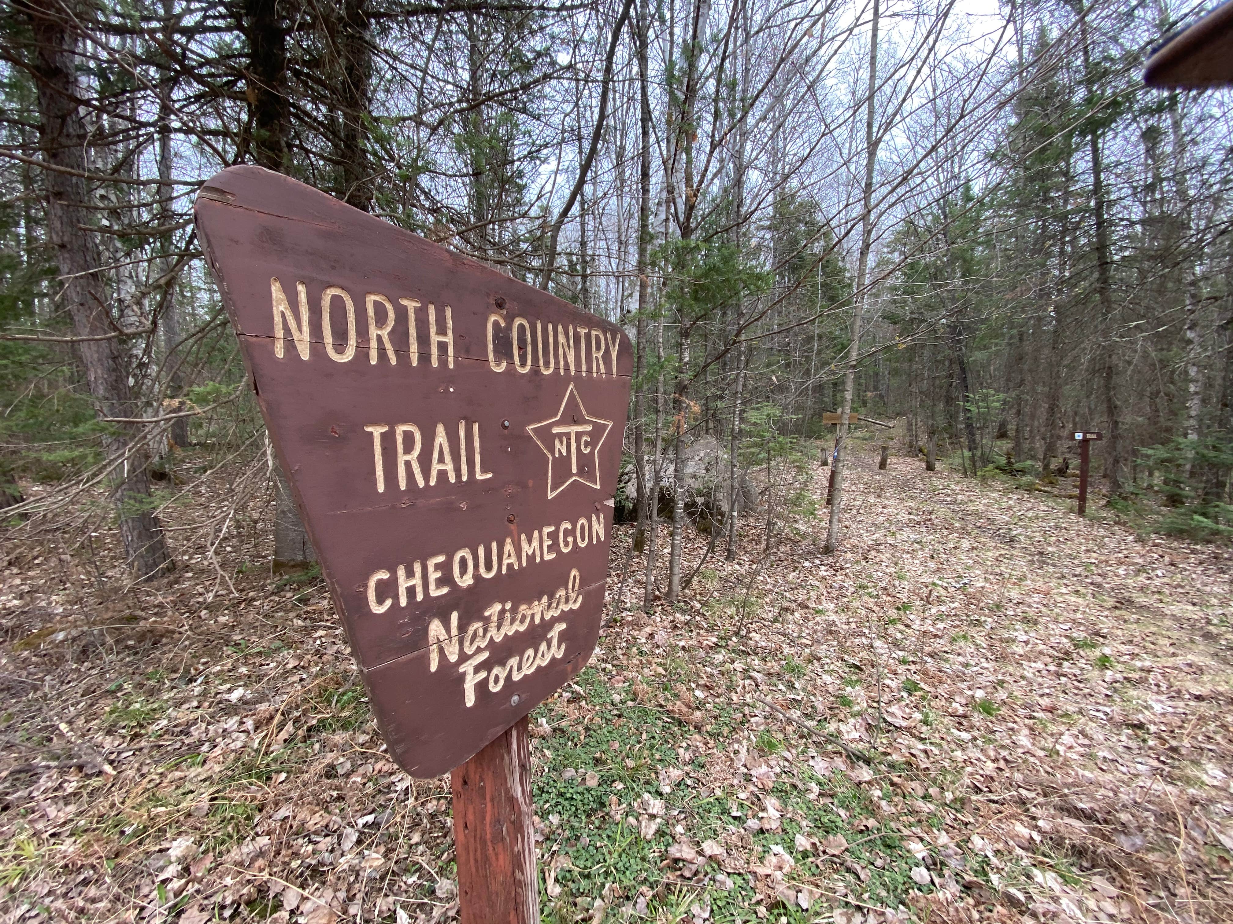 Camper submitted image from Chequamegon National Forest Beaver Lake Campground - 4