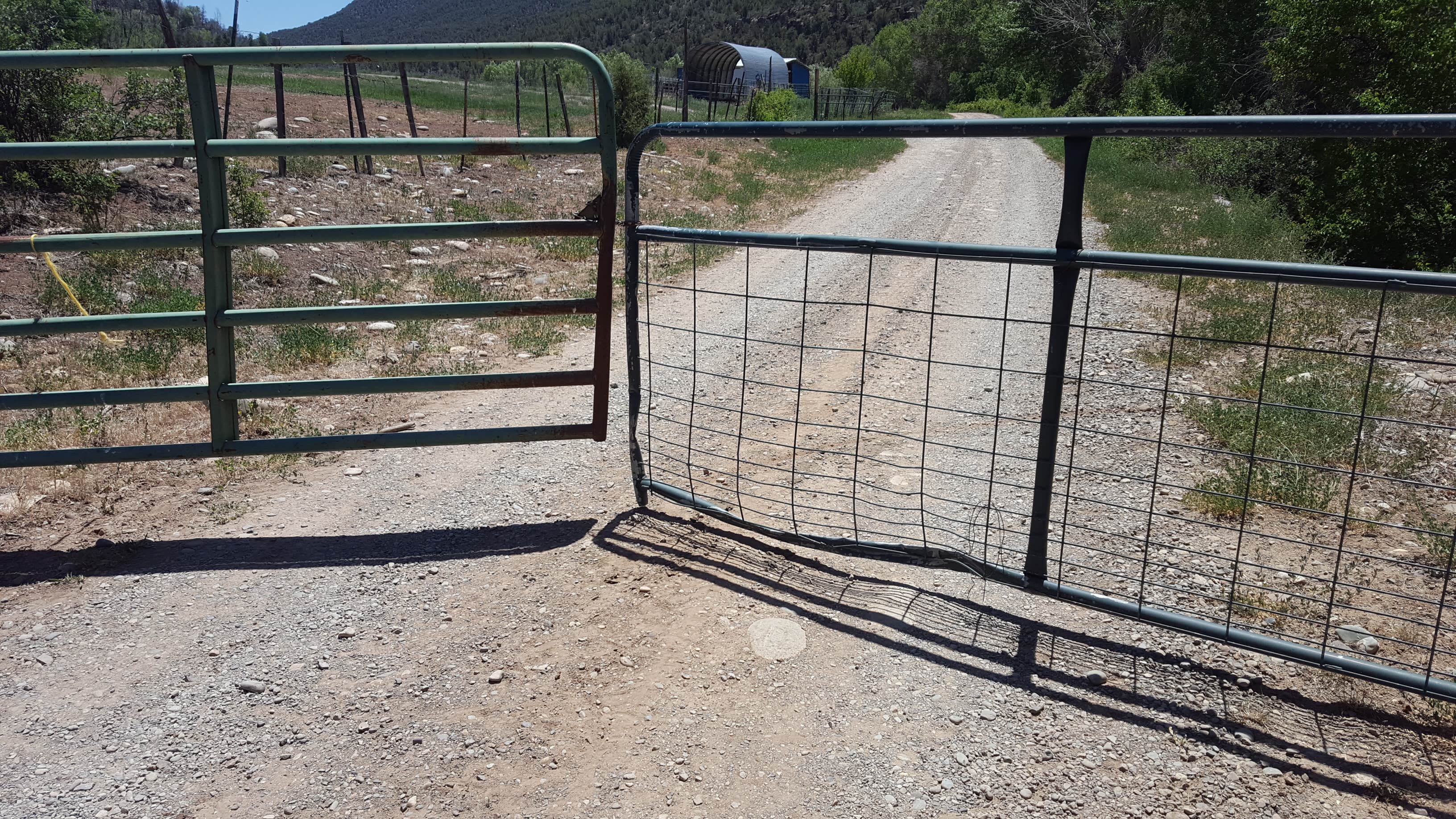 Camper submitted image from Ledges Cottonwood Campground - 4