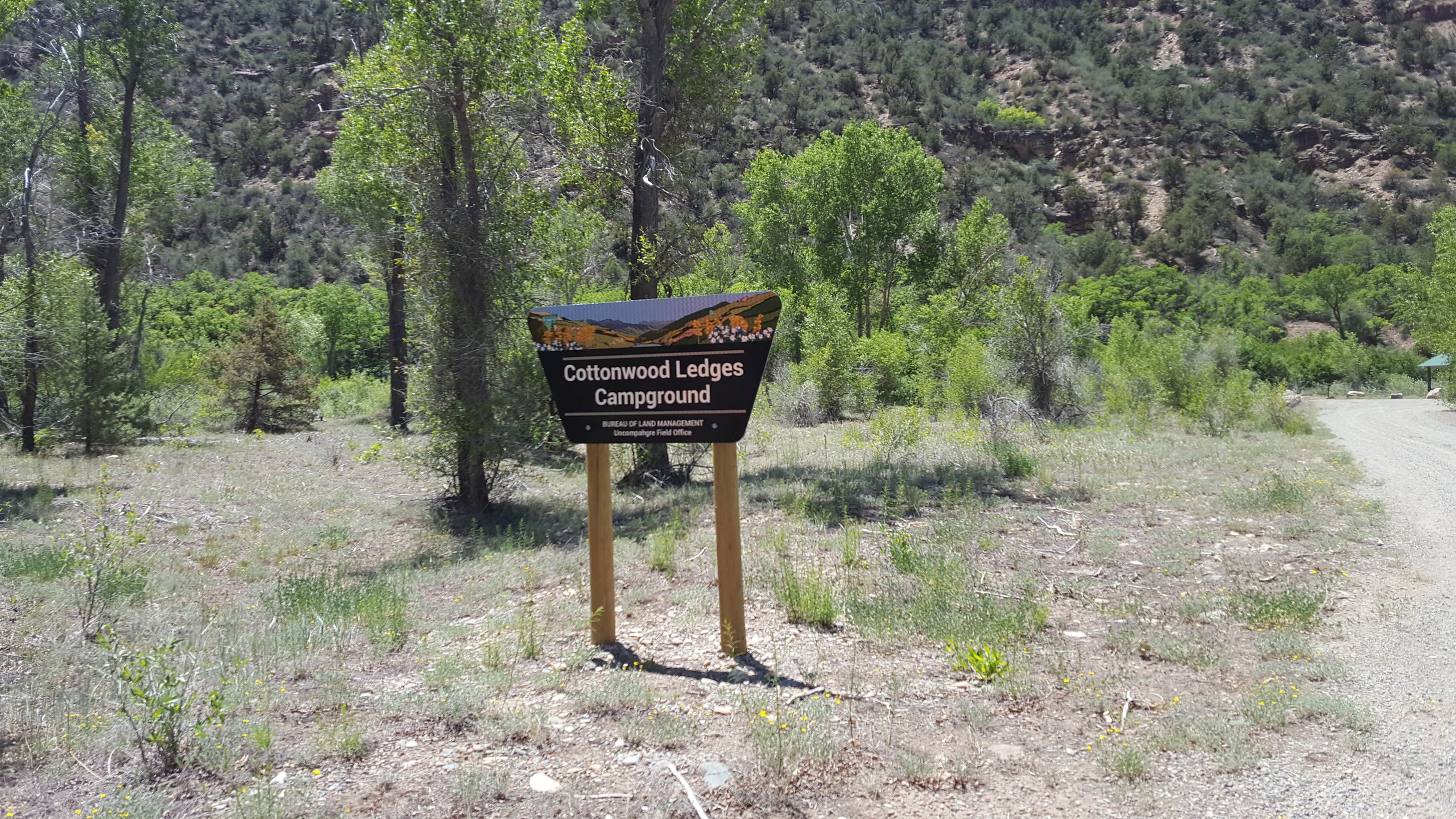 Camper submitted image from Ledges Cottonwood Campground - 2