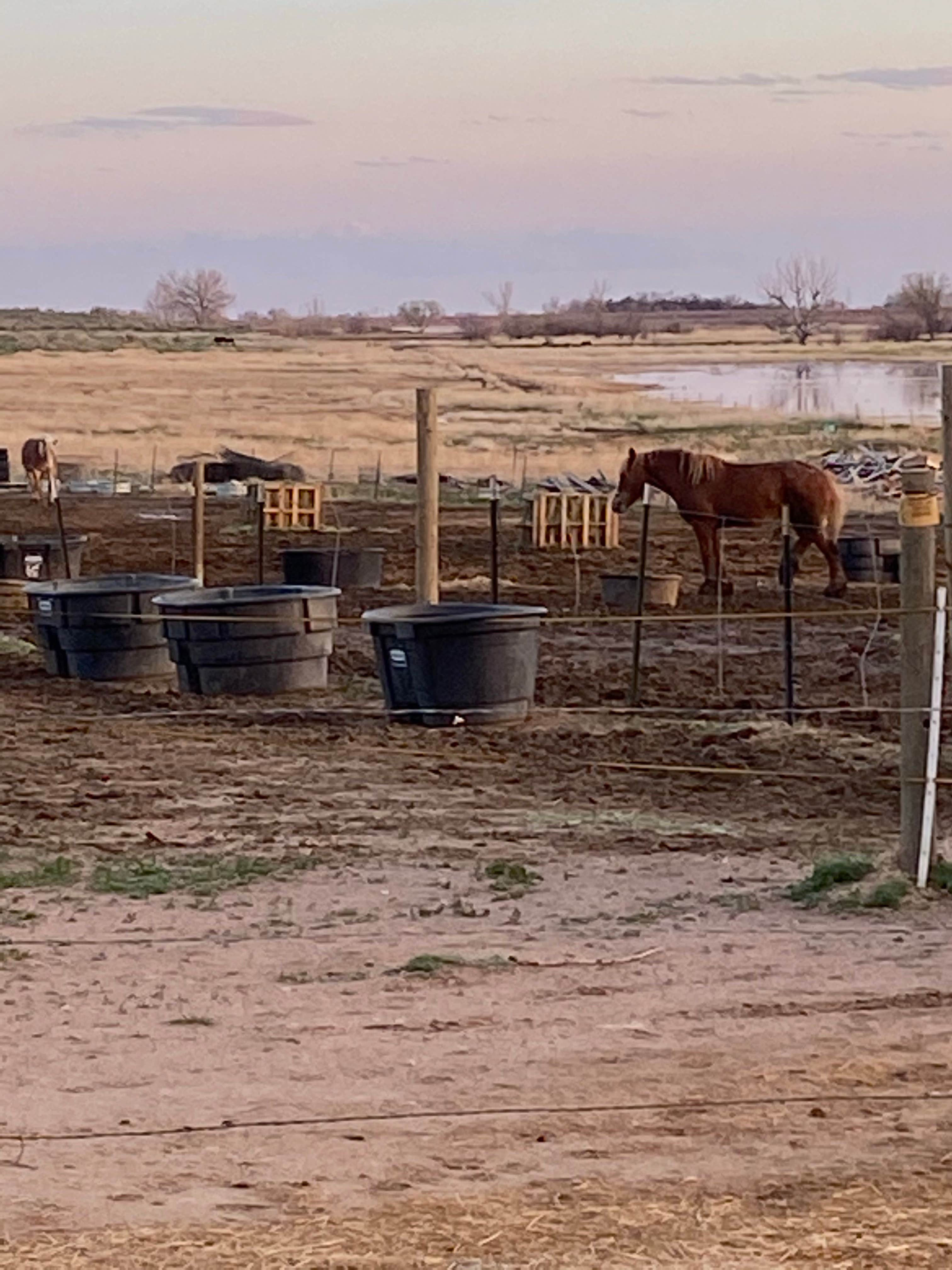 Camper-submitted photo at Fort Collins North-Wellington KOA near Ault, CO