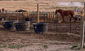 Angie G.'s photo of camping with a horse at Fort Collins North-Wellington KOA near Grover, CO