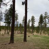 Review photo of Big Pine Campground by Angie G., May 14, 2021