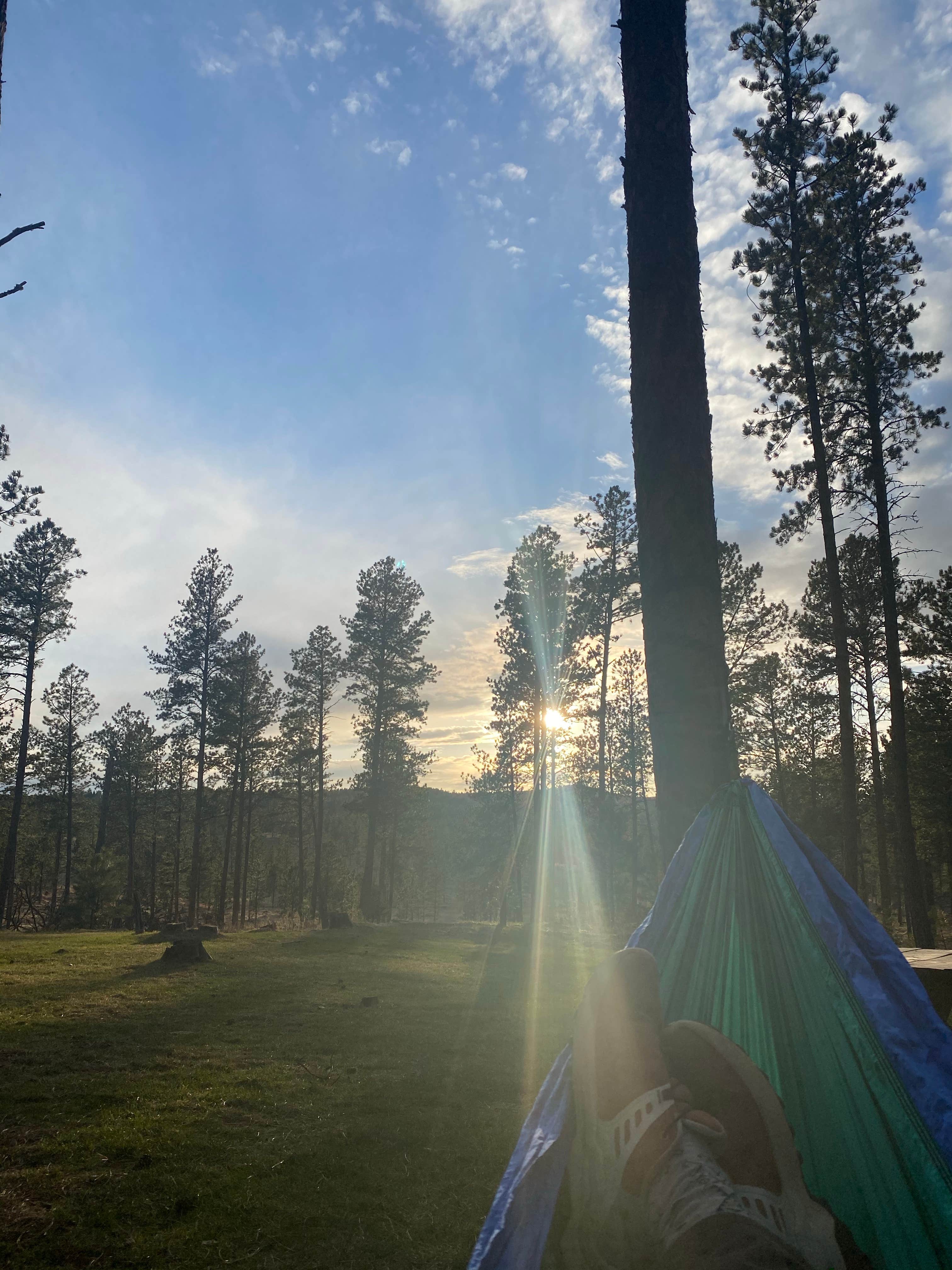 Angie G.'s photo of tent camping at Big Pine Campground near Silver City, SD