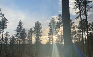 Angie G.'s photo of tent camping at Big Pine Campground near Newcastle, WY