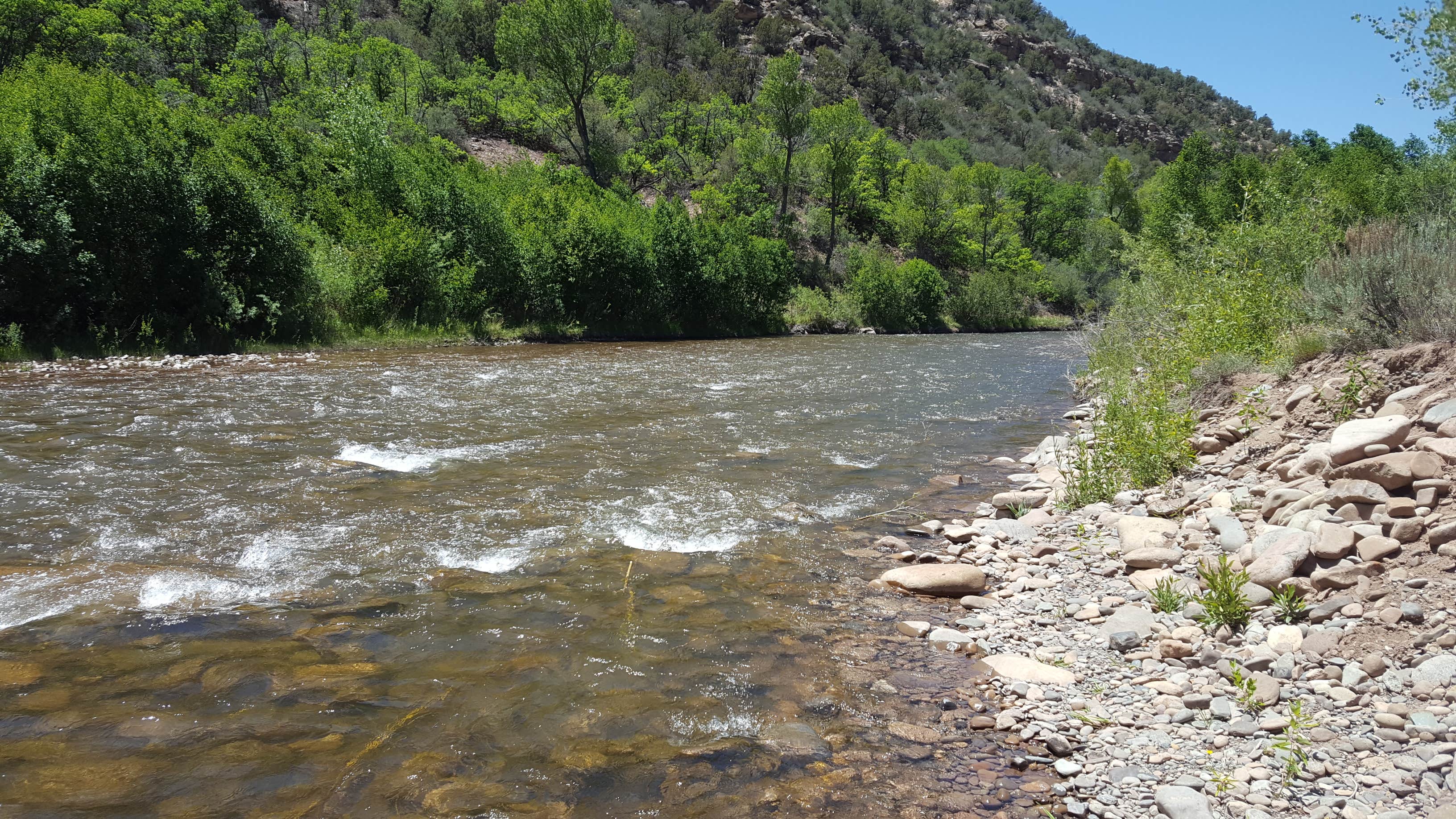 Camper-submitted photo at Ledges Cottonwood Campground near Norwood, CO