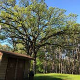 Review photo of Chief Keokuk Campground — Johnson-Sauk Trail State Recreation Area by Erin W., May 15, 2021