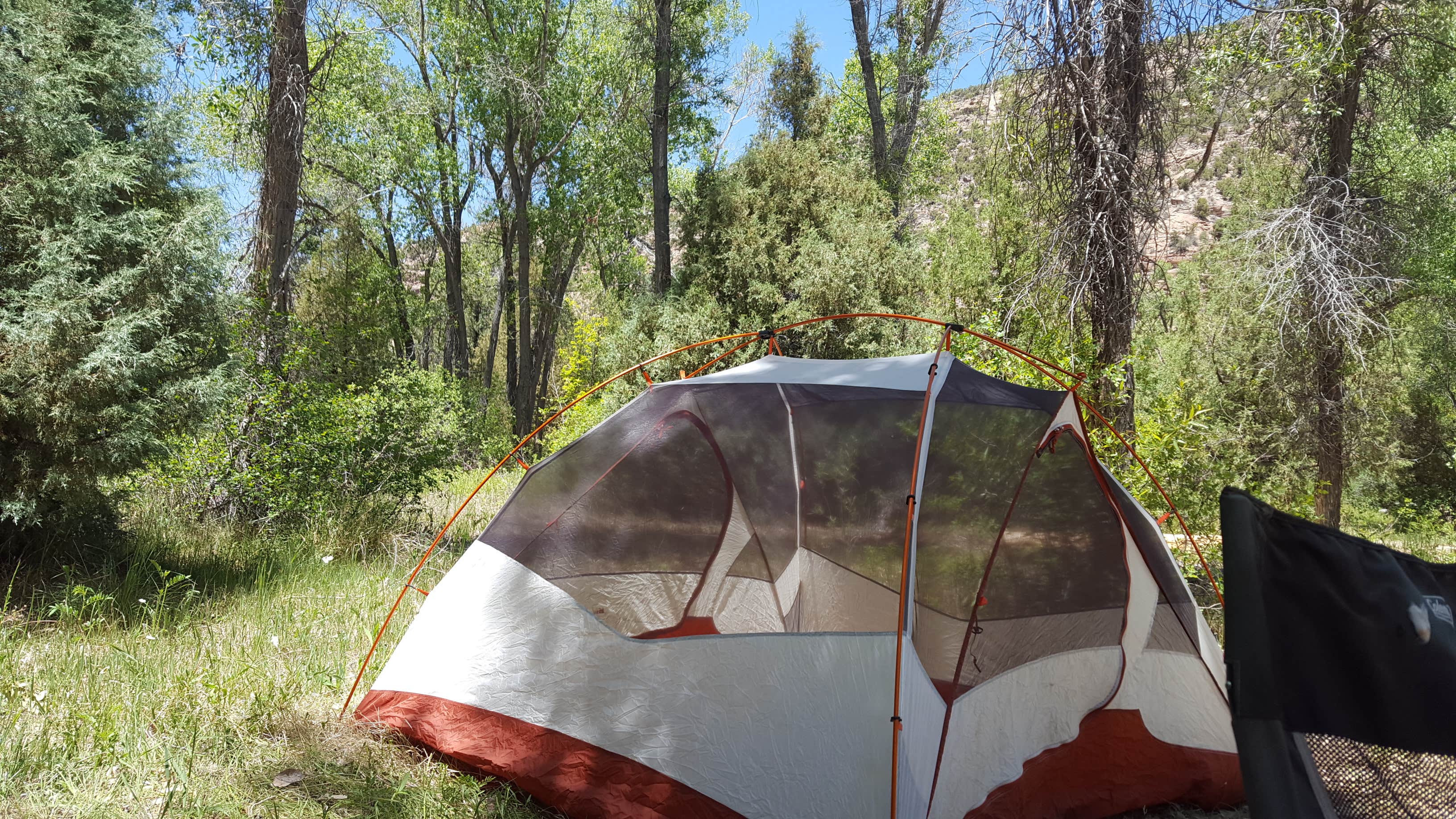 Camper submitted image from Ledges Cottonwood Campground - 3