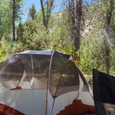 Review photo of Ledges Cottonwood Campground by Melissa K., June 3, 2018