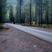 Review photo of Apgar Campground — Glacier National Park by Angela G., May 15, 2021