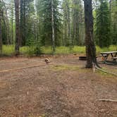 Review photo of Apgar Campground — Glacier National Park by Angela G., May 15, 2021