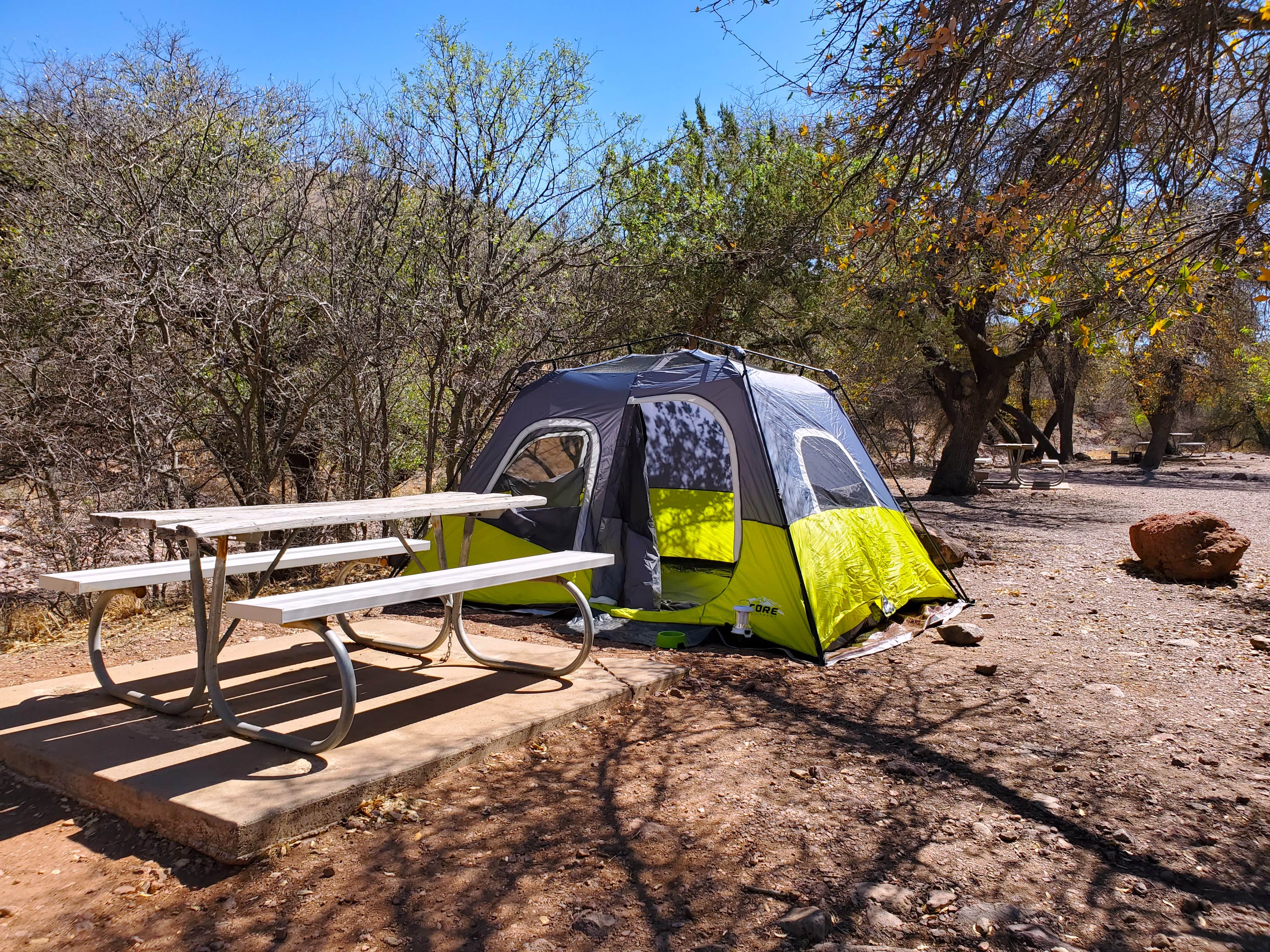 Chip's photo of tent camping at Davis Mountains State Park Campground near Marfa, TX