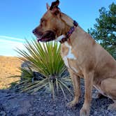 Review photo of Davis Mountains State Park by Chip , May 15, 2021