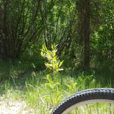 Review photo of Ledges Cottonwood Campground by Melissa K., June 3, 2018