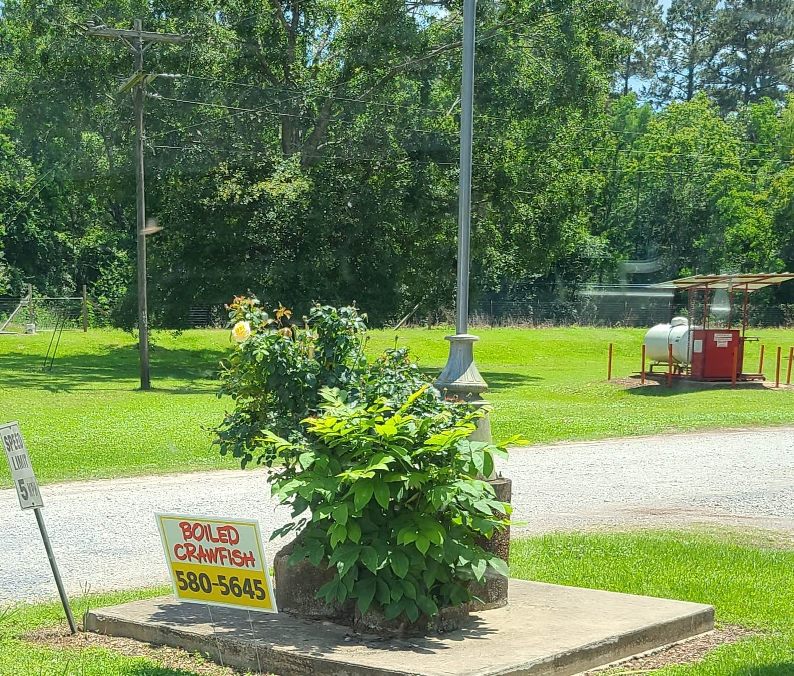 Camper submitted image from Cajun Campground - 5