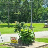 Review photo of Cajun Campground by Cat R., May 15, 2021