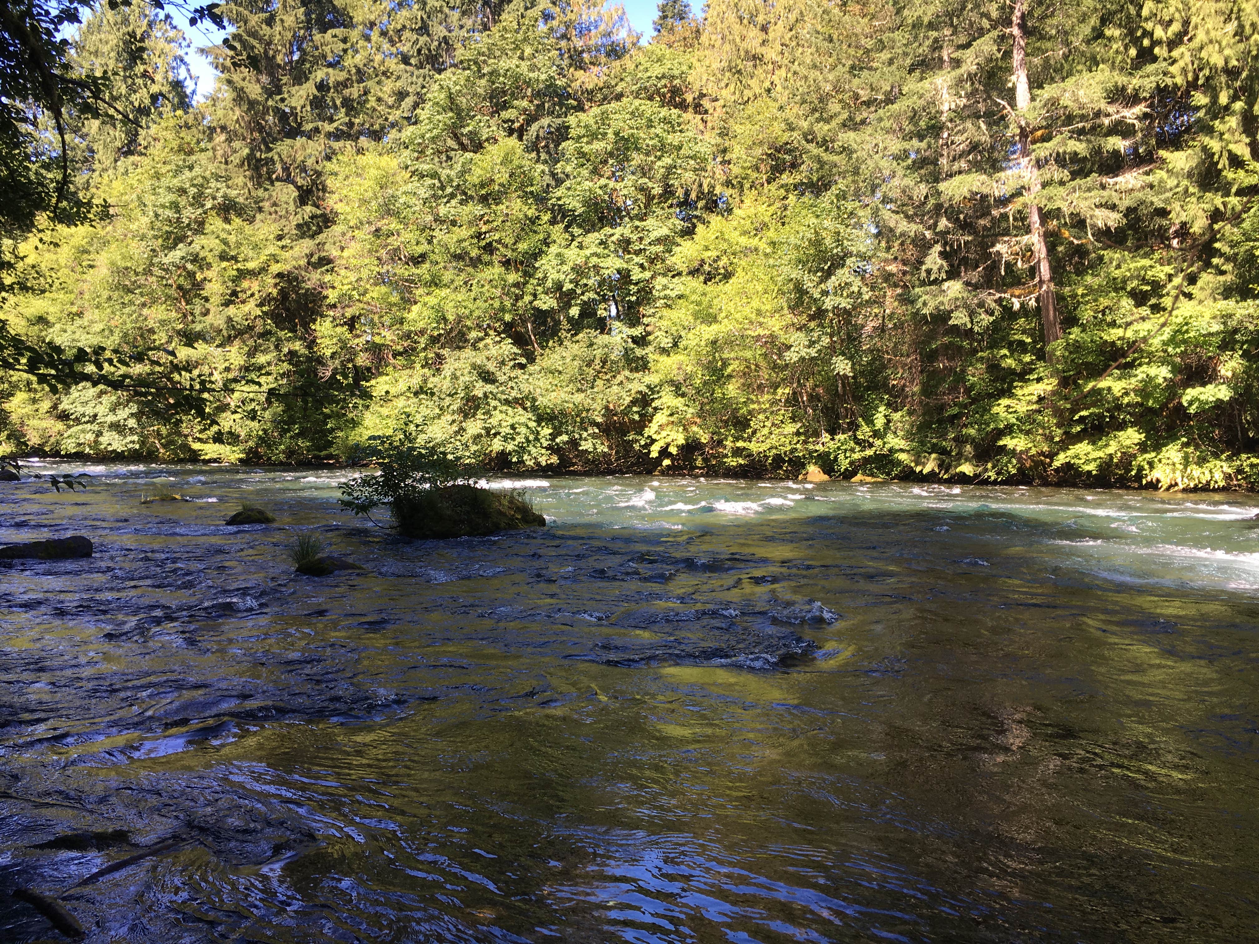 Camper submitted image from Paradise Campground - 3