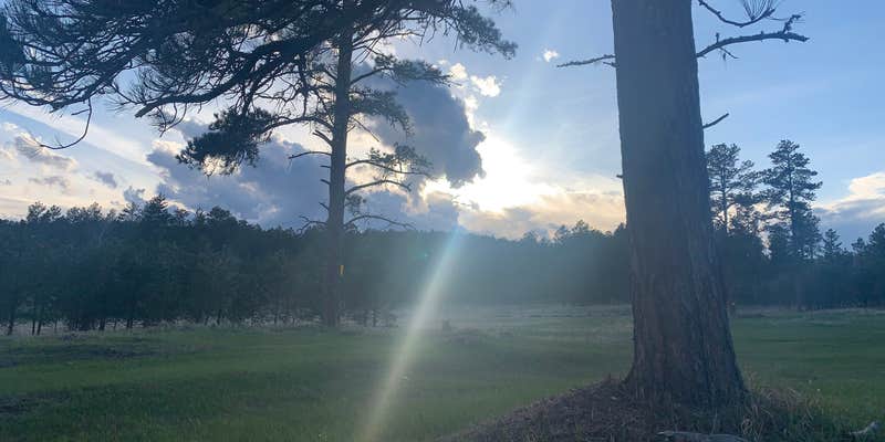 Camper submitted image from West Nemo - Dispersed Camping