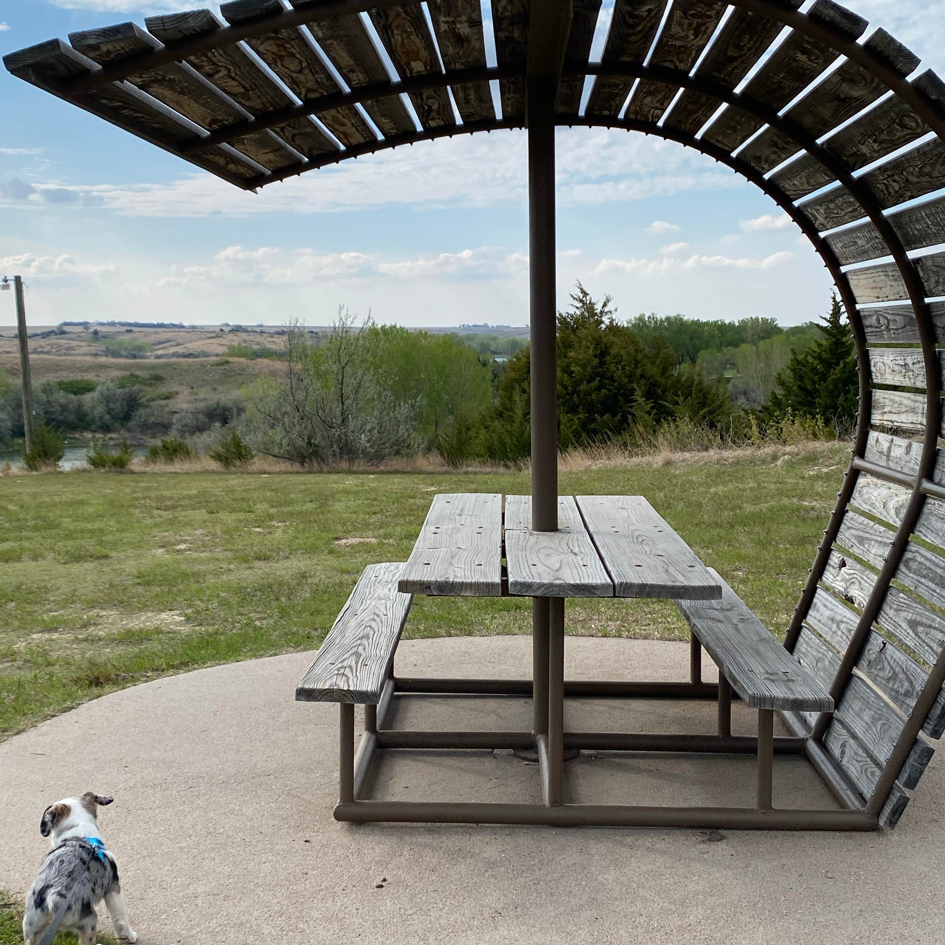 Nebraska's Red Willow Reservoir: Where the Wild Things Are (and So Are You!)