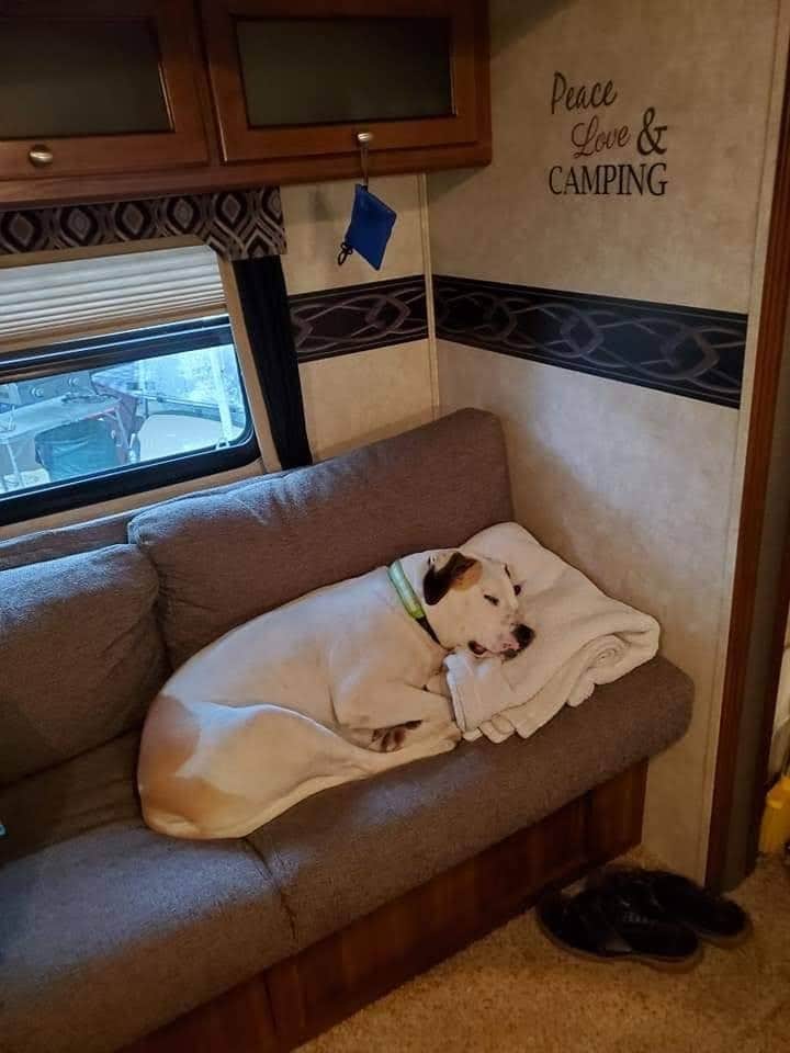 Christopher  S.'s photo of camping with pets at Bayley's Campground Snack Bar near Portland, ME