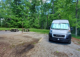 Little Lick Campground
