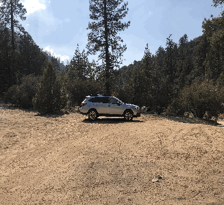 Camper-submitted photo from Coon Creek Yellow Post Sites