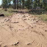 Review photo of Fr 171 Campground by K , May 15, 2021