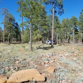 Review photo of Fr 171 Campground by K , May 15, 2021