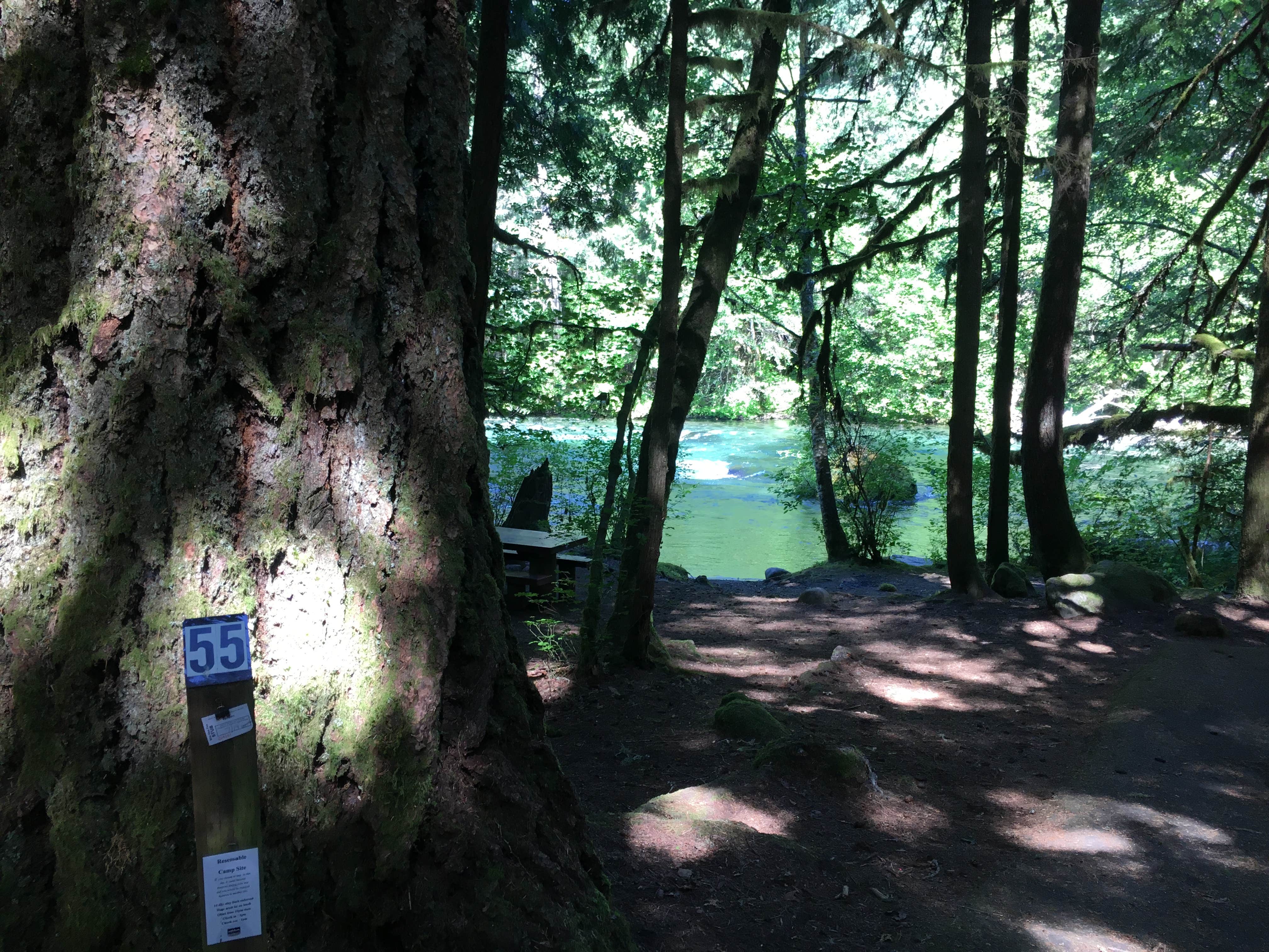 Paradise campground on sale