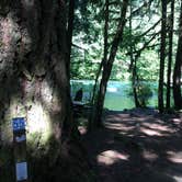 Review photo of Paradise Campground by Bill I., July 15, 2016